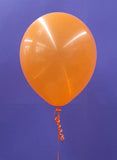 Single Helium Balloon